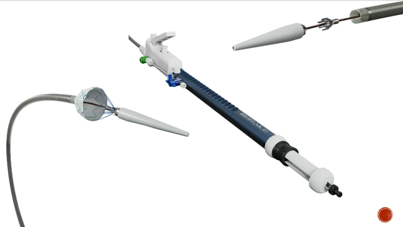 Bionexus - Liberador endoprotesis